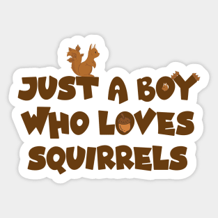 Cute Design for Squirrels Lovers, Just A Boy Who Loves Squirrels, Squirrels boy Sticker